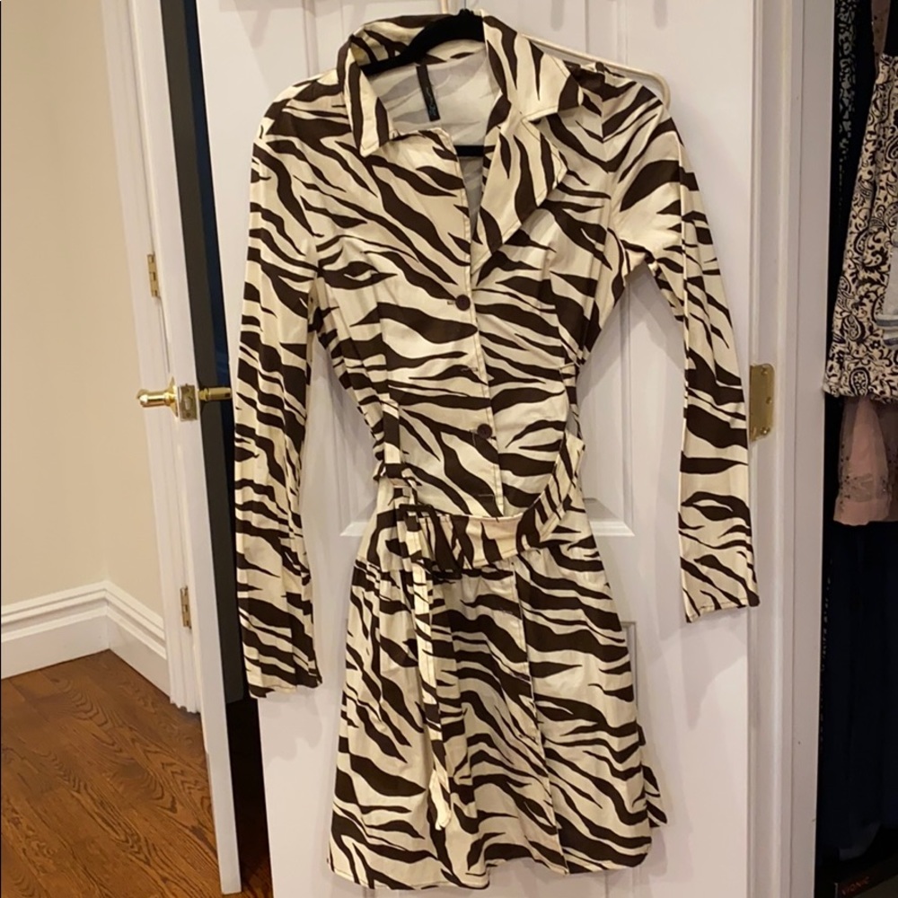 Tiger Print Trench Jacket